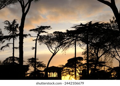 A fiery sunset blazes through the trees, casting a warm glow on an equestrian statue and creating a picture-perfect scene. - Powered by Shutterstock