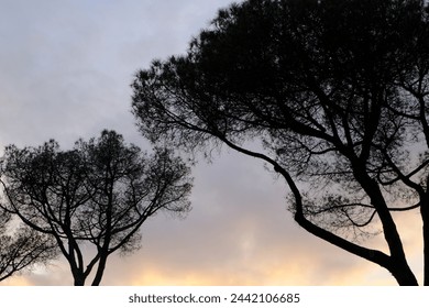 A fiery sunset blazes through the trees, casting a warm glow on an equestrian statue and creating a picture-perfect scene. - Powered by Shutterstock