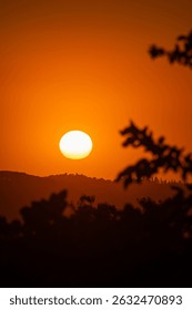 Fiery sunset illuminates the sky, casting an ethereal glow over the landscape, silhouettes the trees.