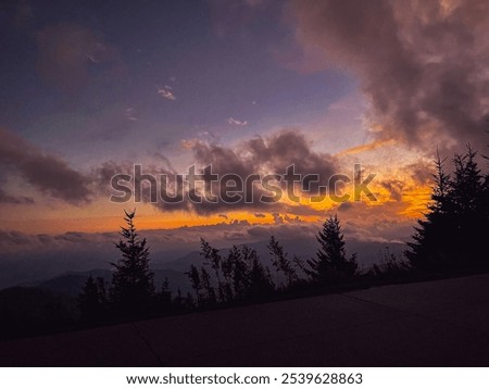 Similar – Image, Stock Photo Silhouetted trees stand against a fiery red sky reflected in a tranquil water body at twilight
