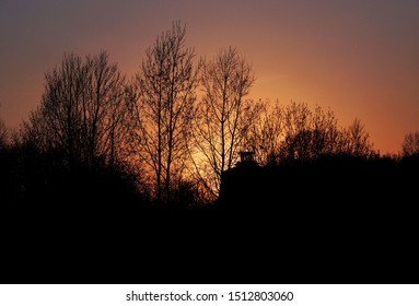 fiery sunset through the branches of trees                         
