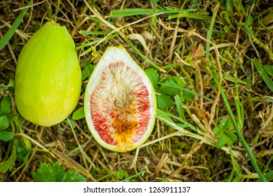 fig cut in two, outside and inside 