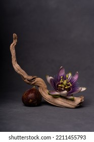 Fig, Flor And Wood Stick