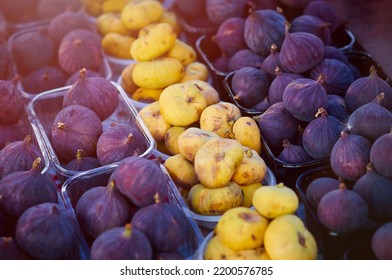 Fig Fruits Of Different Varieties On The Counter Of The Farmers Market In The Evening Sunlight. Contrasting Yellow And Purple Fruits Arranged In Rows. Healthy Food Concept.