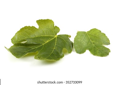 Fig Leaves