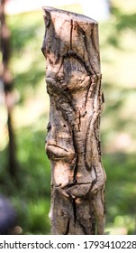 Fig Stump (Dystopian Captured Nature)