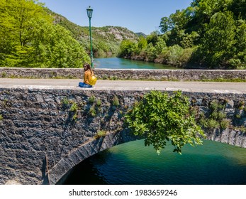 The Fig Tree Grows From An Old Stone Bridge At Rijeka Crnojevica, Montenegro