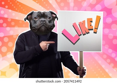 Fight For Likes. A Man With A Dog Head Asks To Put A Like. A Dog With A Poster. A Modern Collage. A Fantastic Picture With A Man-dog. A Bulldog With A Human Body. A Picture In A Magazine Style.