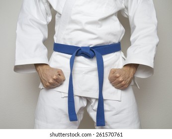 5,269 Karate blue belt Images, Stock Photos & Vectors | Shutterstock