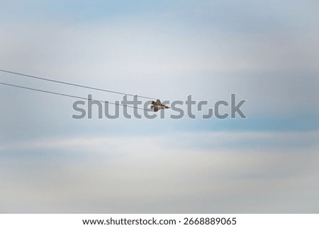 Fighter jet diving through the sky