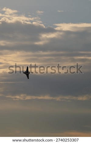 A fighter jet, possibly a Dassault Rafale, soars through a cloudy sky with its afterburners blazing. The fiery glow of the engines contrasts dramatically with the soft light of dusk or dawn.