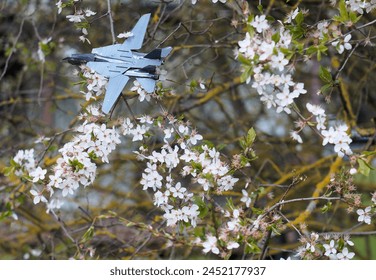 Fighter on a background of nature