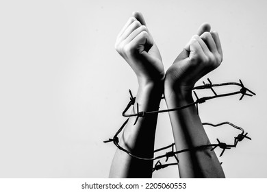 Fighting for freedom and human right concept. Close up child's hands tied with barbed wire. Black and white image. Copy space.