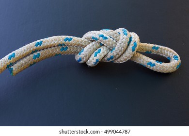 Figure 8 on the Bight