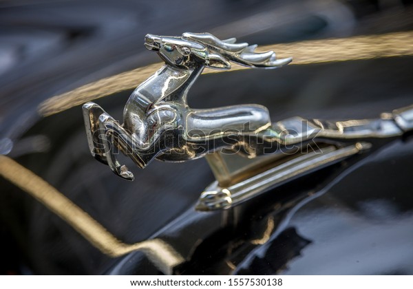 The figure of a deer in the car\
\