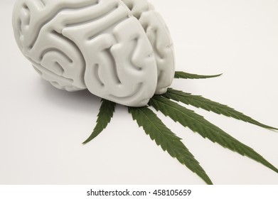 The Figure Of The Human Brain Lies On A Green Leaf Of Hemp. The Use Of Cannabis (Medical Marijuana) In Neurology Or Neuroscience (such As For Pain Relief). Marijuana Dependence Or Addiction.