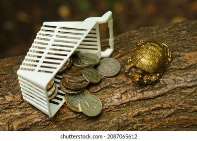 Turtle Money Images, Stock Photos u0026 Vectors  Shutterstock