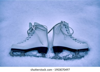 Figure Skates Close Up. Sport Equipment .Lie In The Snow.