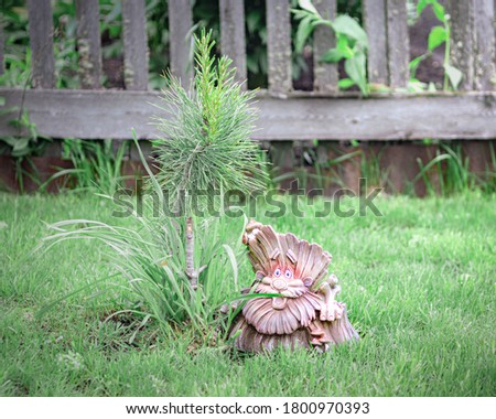 figure of wood-goblin  on the ground in a garden
