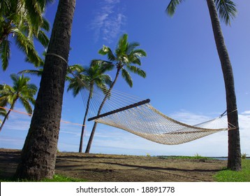 Fiji Hammock