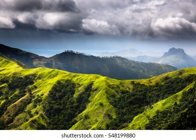 Fiji - Viti Levu - Oceania