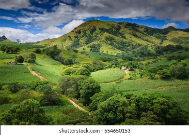 Fiji - Viti Levu - Oceania