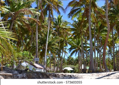 Fiji - Yasawa Islands 