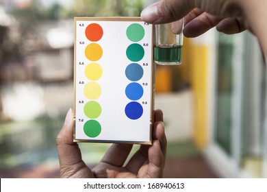 File Of Hand Holding Water Ph Testing Test Comparing Color To Indicated 