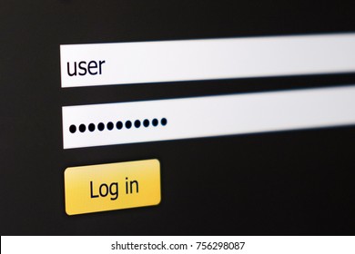 Filled login and hidden by dots password at login screen on the website