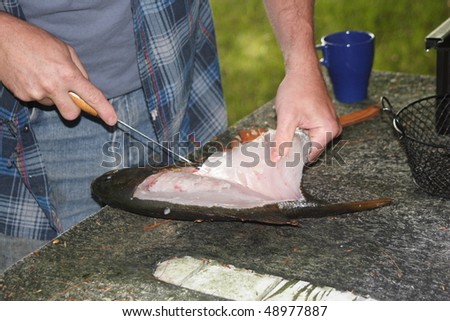 Filleting a fish