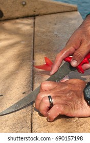 Filleting Red Snapper On A Fish Cleaning Station  With Knife And Water Hose At A Tropical Harbor  In The Gulf Of Mexico