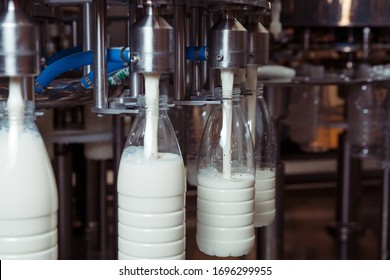 Filling Milk In To Plastic Bottles At The Factory. Equipment At The Dairy Plant