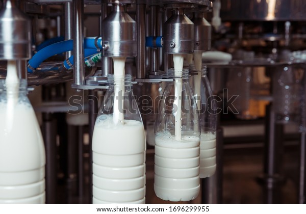 filling milk in to plastic bottles at the factory.\
equipment at the dairy\
plant