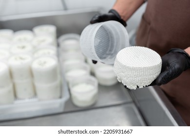 Filling molds for the production of soft cheese. The cheese blanks are soaked in brine - Shutterstock ID 2205931667