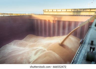 Filling the ship hold. The wheat in bulk.