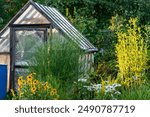 film greenhouse in sunset light, gardener