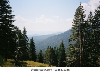 Film Photo Of View Of Trees And Mountains At The Lookout Of Lake Tahoe, Reno, Nevada