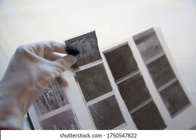 Film photography album for negative storing. A hand with white cotton archival gloves in the background, holding negatives. Different size negatives in special envelopes. - Powered by Shutterstock