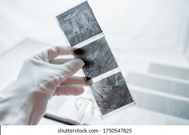 Film photography album for negative storing. A hand with white cotton archival gloves in the background, holding negatives. Different size negatives in special envelopes. - Powered by Shutterstock