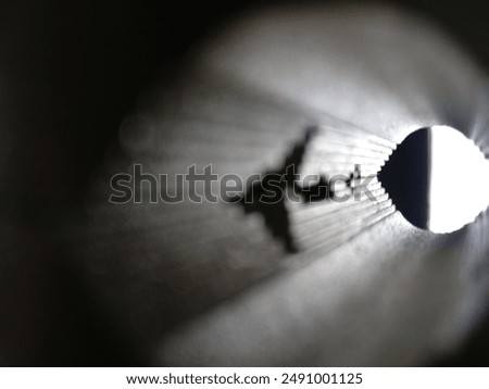 Similar – Image, Stock Photo 17