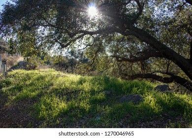 Filtering The Light 