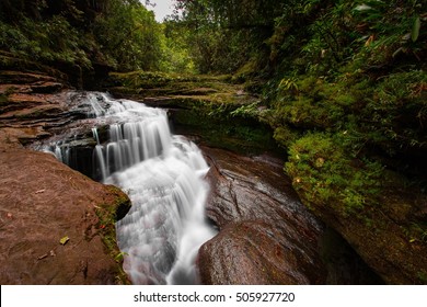 Fin Del Mundo, The Amazon Jungle Of Colombia 