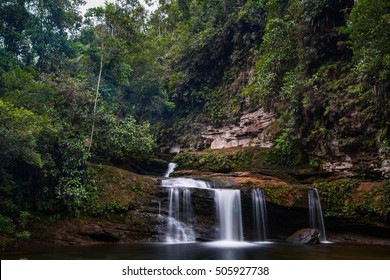 Fin Del Mundo, The Amazon Jungle Of Colombia 