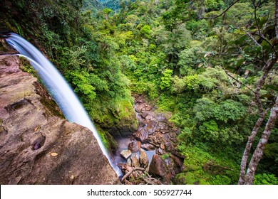 Fin Del Mundo, The Amazon Jungle Of Colombia 