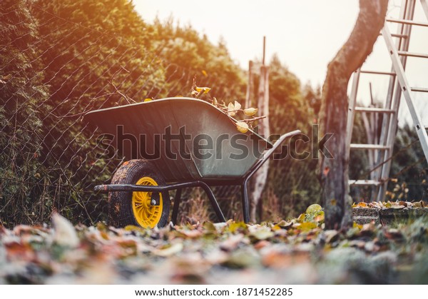Final garden work of autumn. Green wheelbarrow in\
the garden. Garden wheelbarrow full of dry branches. Autumn garden\
theme.