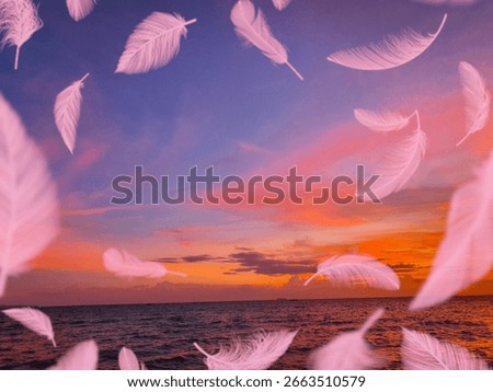 The final layer shows pink feathers floating across a vibrant sunset sky over the ocean. This creates a surreal, multi-layered collage of textures and scenes.