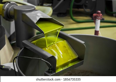 The final phase of extra virgin olive oil production with modern equipment - Powered by Shutterstock