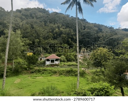 A final resting place housing complex set against a backdrop of the foothills in the rural landscape of North Toraja, South Sulawesi, Indonesia