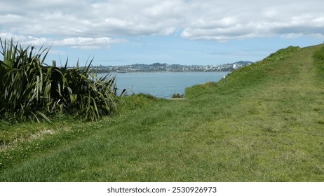 Finally a better view while wandering around the historic reserve and mount. 16th oct 2024. 