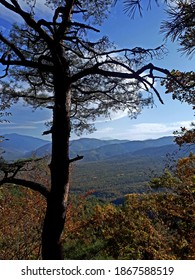 Finally We Climbed The Mountain.  Now You Can Admire The View. 